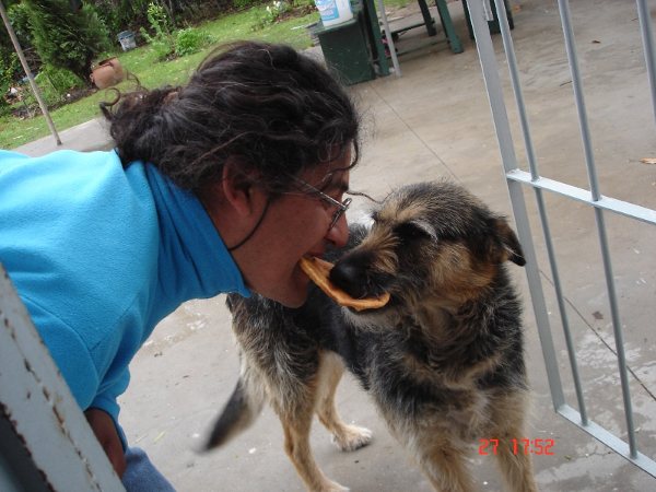 mi perra y yo peleando x la torta