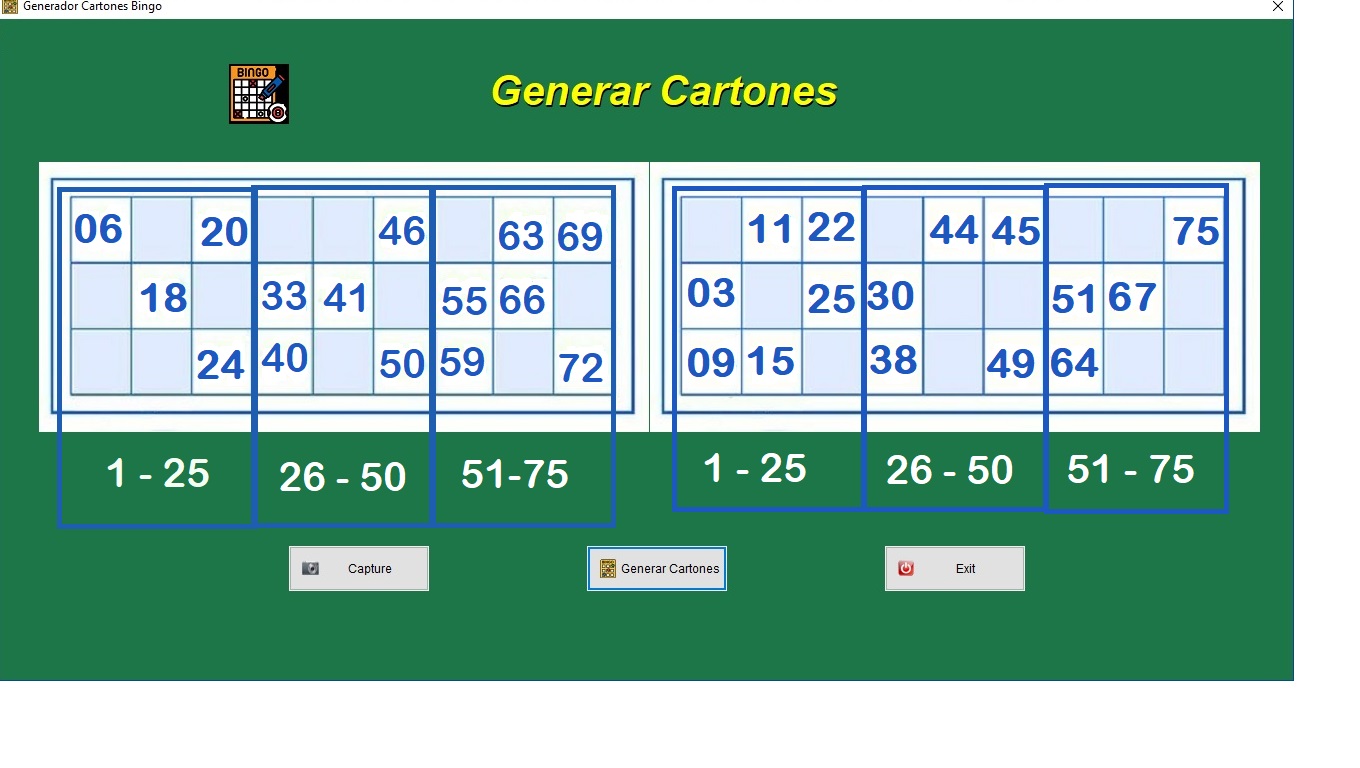 NUMERO EN CARTONES BIEN UBICADOS.jpg
