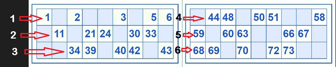 NUMERO UBICADOS 1.jpg