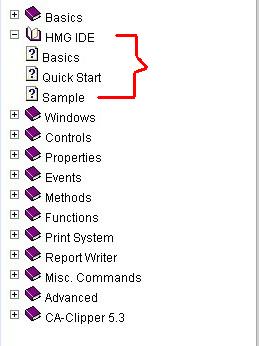 IDE Section of HMG Doc