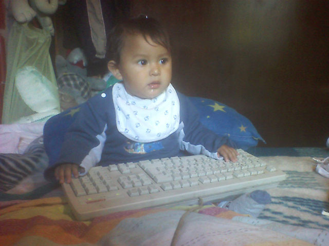 Denis Leonel programming in HMG.