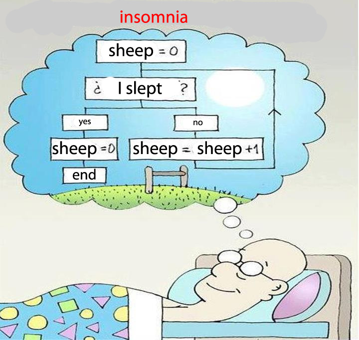 Sheep.jpg