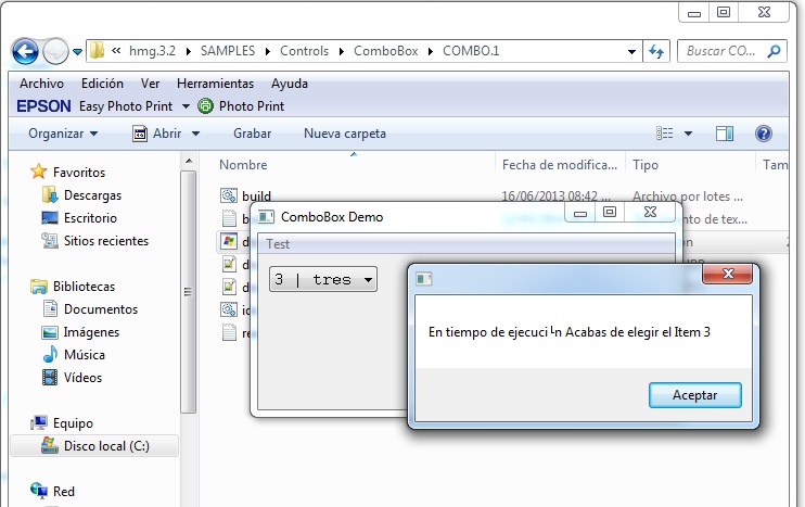 Ejecucion.jpg
