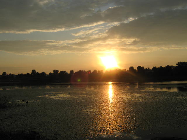 IMG_6594.JPG