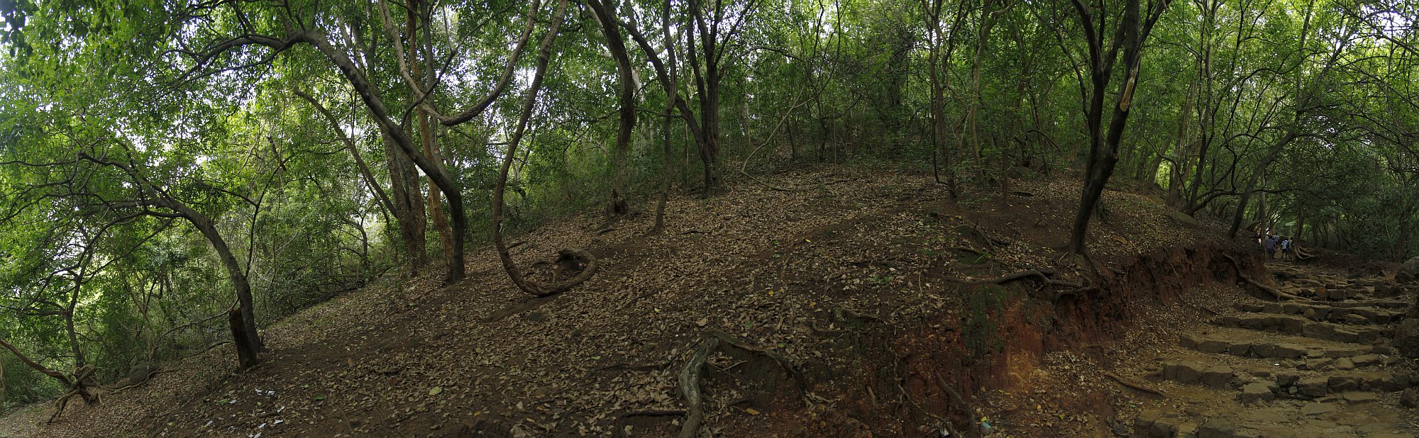 panorama2.jpg